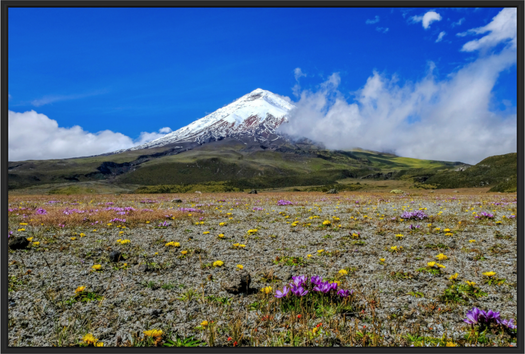 Main image Cotopaxi Colors
