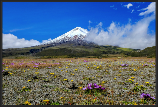 Main image Cotopaxi Colors