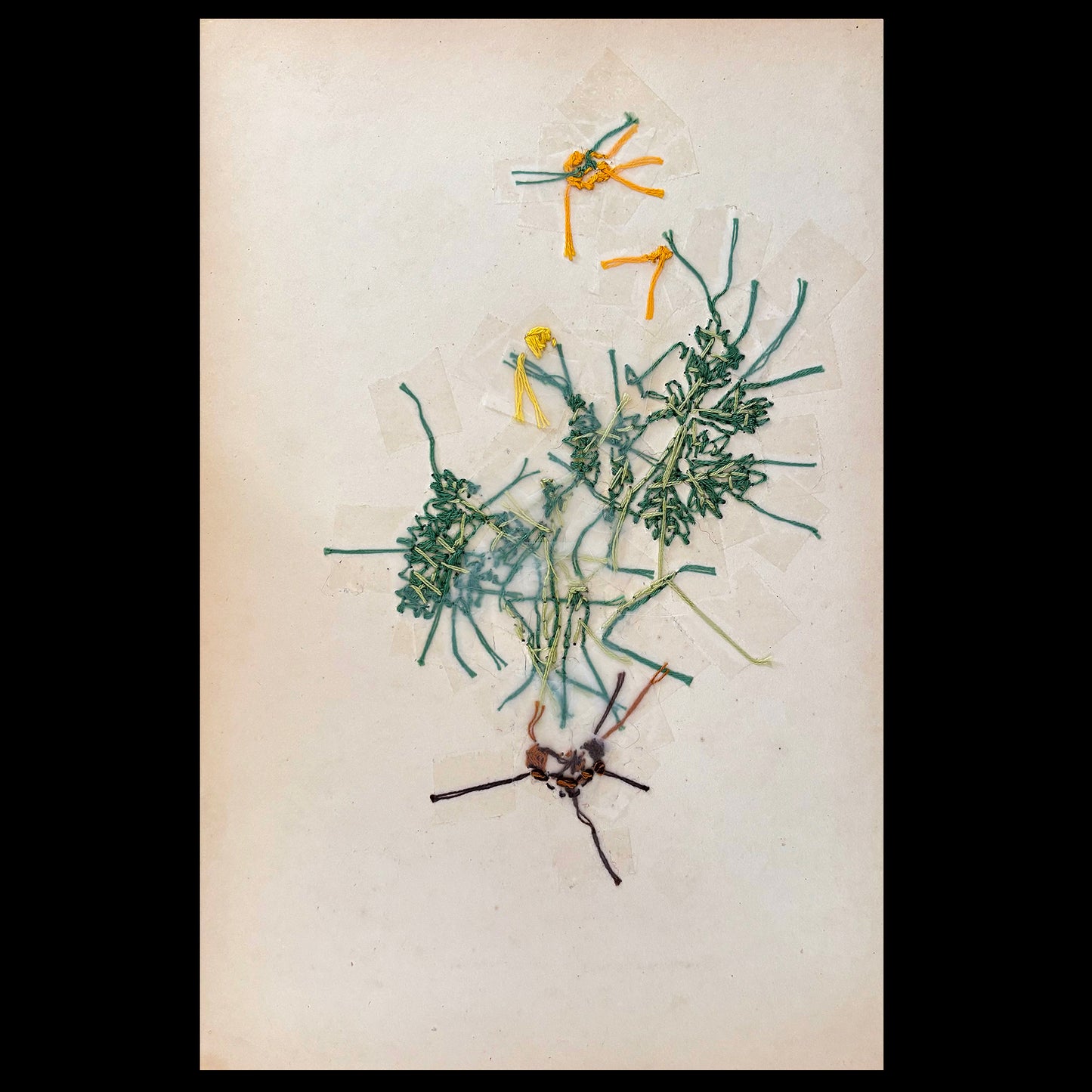 Antique Print Botanical (Bulbous Crowfoot)