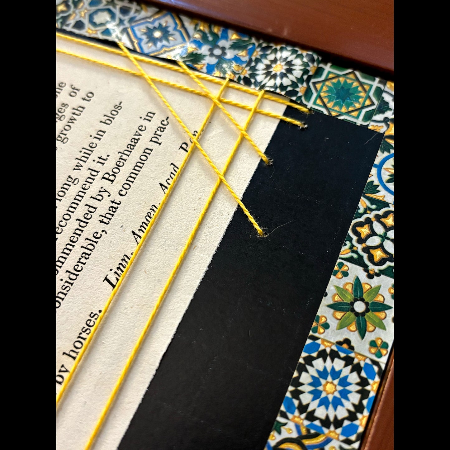 Framed Antique Botanical Print (Creeping Jenny)