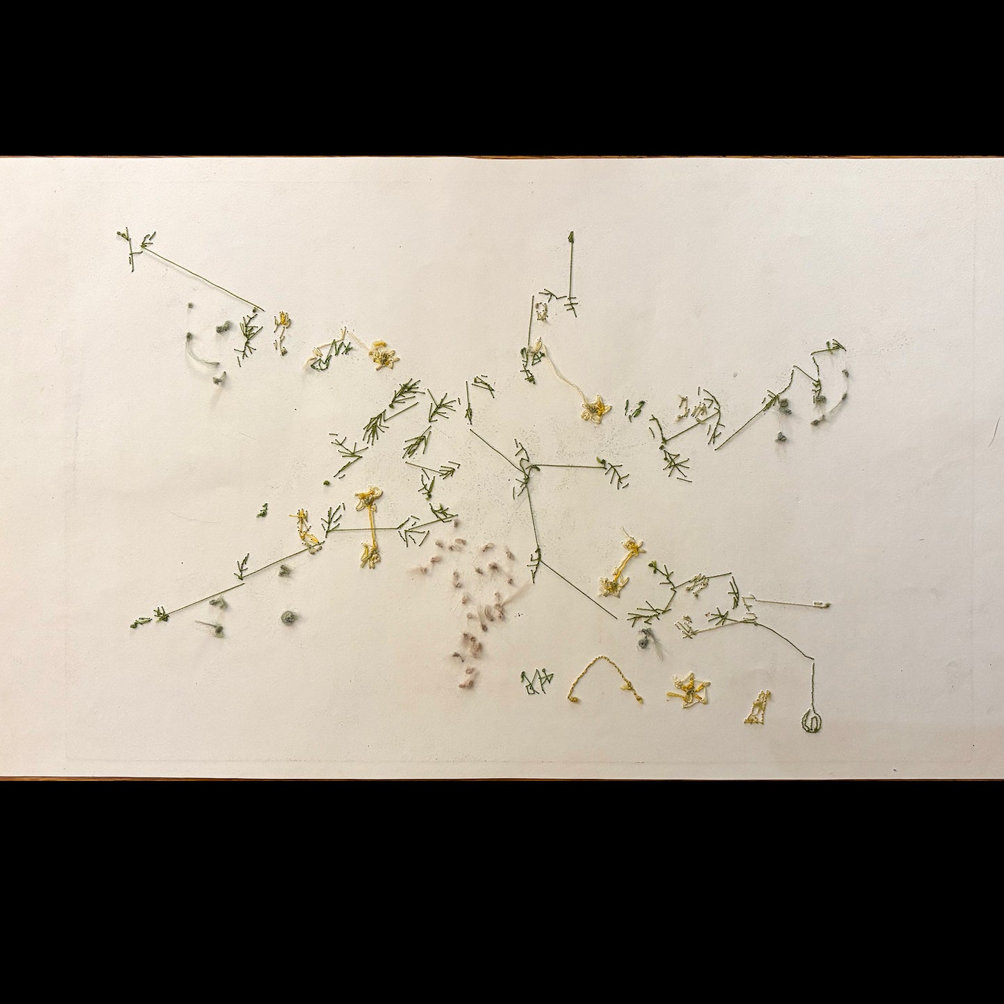 Framed Antique Botanical Print (Creeping Jenny)